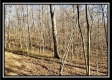 Tract 2 at Harrison Road property photo