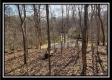 Tract 2 at Harrison Road property photo