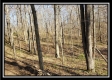 Tract 2 at Harrison Road property photo