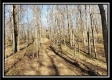 Tract 2 at Harrison Road property photo