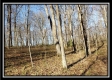 Tract 2 at Harrison Road property photo