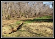More of Tract 2 at Harrison Road