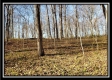 Tract 2 at Harrison Road property photo