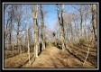 Tract 2 at Harrison Road property photo