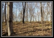 Tract 2 at Harrison Road property photo