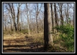 Tract 2 at Harrison Road property photo