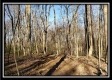 Tract 2 at Harrison Road property photo