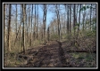 Tract 2 at Harrison Road property photo