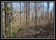 Tract 2 at Harrison Road property photo