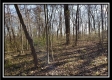 Tract 2 at Harrison Road property photo