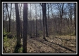 Tract 2 at Harrison Road property photo