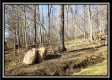 Tract 2 at Harrison Road property photo