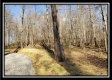 Tract 1 at Harrison Road property photo