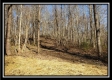 Tract 1 at Harrison Road property photo