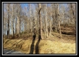 Tract 1 at Harrison Road property photo