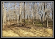 Tract 1 at Harrison Road property photo