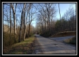 More of Tract 1 at Harrison Road