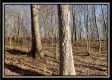 Tract 1 at Harrison Road property photo