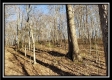 Tract 1 at Harrison Road property photo