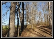 Tract 1 at Harrison Road property photo