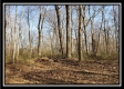 Tract 1 at Harrison Road property photo