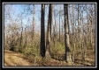 Tract 1 at Harrison Road property photo