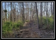 Tract 1 at Harrison Road property photo