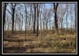 Tract 1 at Harrison Road property photo