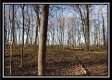Tract 1 at Harrison Road property photo