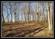 Tract 1 at Harrison Road property photo