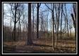 Tract 1 at Harrison Road property photo