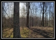 Tract 1 at Harrison Road property photo