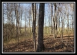 Tract 1 at Harrison Road property photo