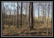 Tract 1 at Harrison Road property photo