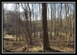 Tract 1 at Harrison Road property photo