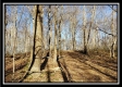 Tract 1 at Harrison Road property photo