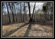 Tract 6 at The Woods at Harrison Road property photo