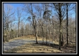 Tract 6 at The Woods at Harrison Road property photo