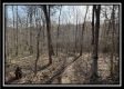 Tract 6 at The Woods at Harrison Road property photo
