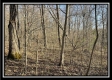 Tract 6 at The Woods at Harrison Road property photo