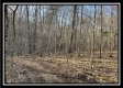 Tract 6 at The Woods at Harrison Road property photo