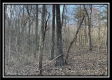 Tract 6 at The Woods at Harrison Road property photo