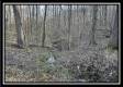 Tract 6 at The Woods at Harrison Road property photo