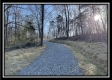 More of Tract 6 at The Woods at Harrison Road