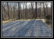 Tract 6 at The Woods at Harrison Road property photo