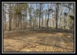 Tract 6 at The Woods at Harrison Road property photo