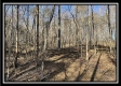 Timber View Cabin at Harrison Road property photo