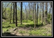 Tract 10 - The Woods at Sunfish Creek property photo