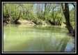 Tract 10 - The Woods at Sunfish Creek property photo