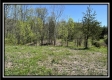 Tract 10 - The Woods at Sunfish Creek property photo